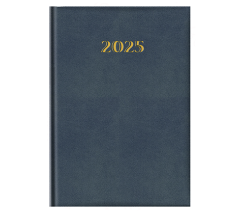 Agenda Diaria 2025 Maniva OR1123 (17X24) - Colores Surtidos